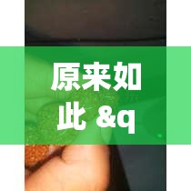 原来如此 "六瓣数字消有挂吗”(必备工具)辅助教学