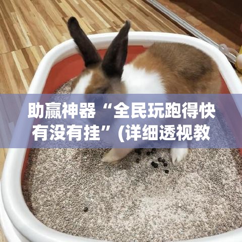 助赢神器“全民玩跑得快有没有挂	”(详细透视教程)-知乎