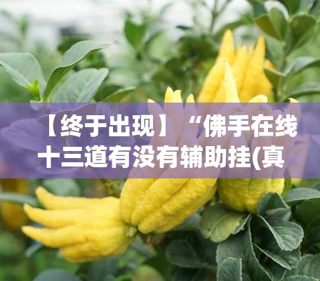【终于出现】“佛手在线十三道有没有辅助挂(真的有挂) 【终于出现】“佛手在线十三道有没有辅助挂(真的有挂)