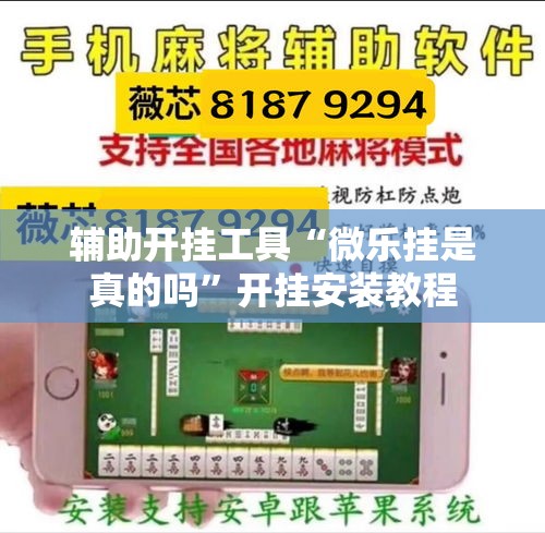 辅助开挂工具“微乐挂是真的吗”开挂安装教程