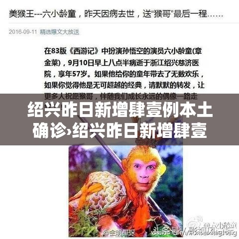 绍兴昨日新增肆壹例本土确诊›绍兴昨日新增肆壹例本土确诊病例