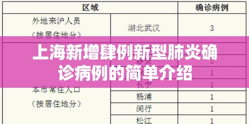 上海新增肆例新型肺炎确诊病例的简单介绍