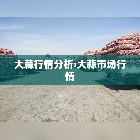 大蒜行情分析›大蒜市场行情