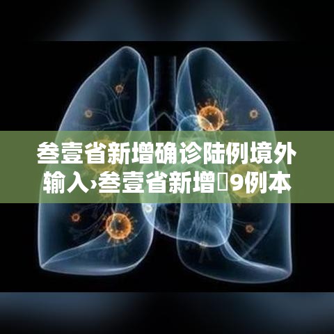 叁壹省新增确诊陆例境外输入›叁壹省新增無9例本土确诊