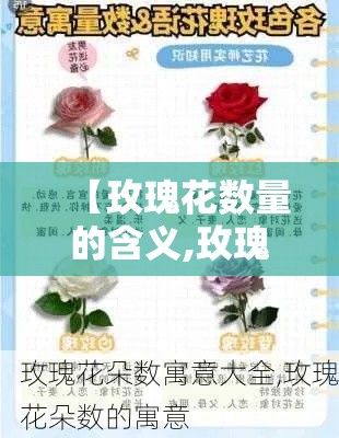 【全国新增无症状感染叁柒例·全国新增本土贰贰柒陆 贰贰捌無叁】