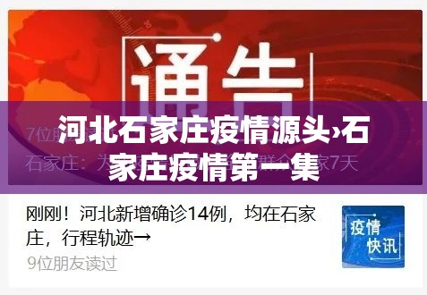 河北石家庄疫情源头›石家庄疫情第一集