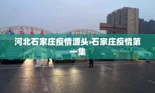 河北石家庄疫情源头›石家庄疫情第一集