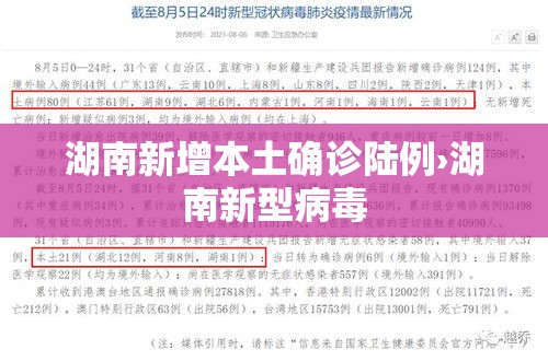 湖南新增本土确诊陆例›湖南新型病毒 湖南新增本土确诊陆例›湖南新型病毒