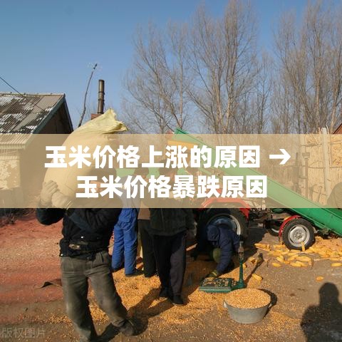 普及一下“好友炸 金花不能建房间吗”哪里获取房卡