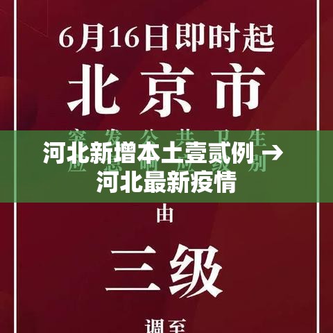 营口疫情多人被问责 → 营口市情