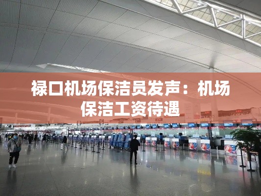 禄口机场保洁员发声：机场保洁工资待遇