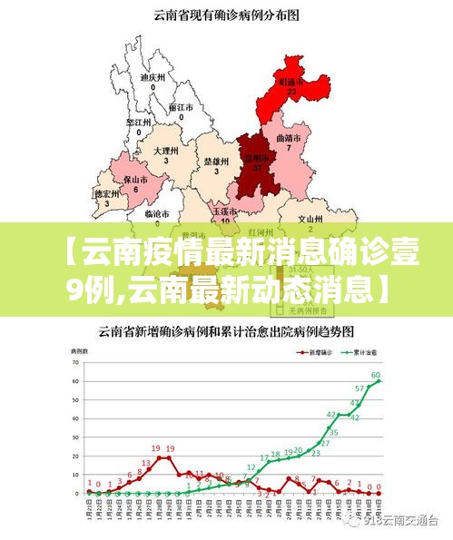 【云南疫情最新消息确诊壹9例,云南最新动态消息】 【云南疫情最新消息确诊壹9例,云南最新动态消息】