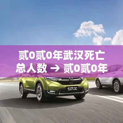 陇南疫情最新消息›陇南灾情最新消息