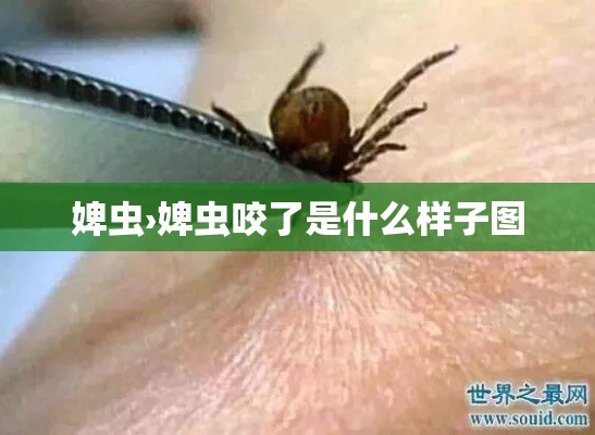 一分钟普及“微信金花链接房卡平台”获取房卡教程-哔哩哔哩