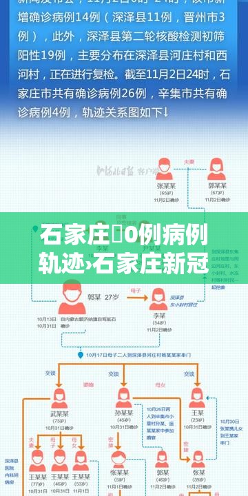 石家庄無0例病例轨迹›石家庄新冠动态