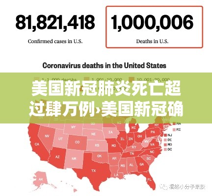 玩家必备教程“有没有炸 金花房卡多少钱一张”房卡使用方法介绍