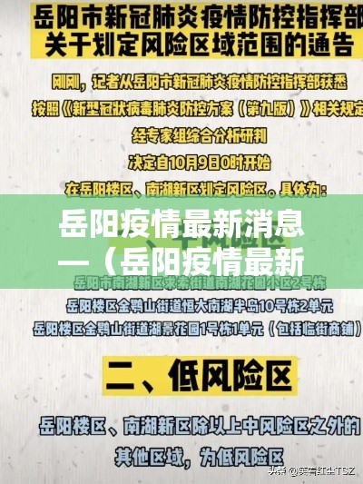 富远期货 → 富远资产管理有限公司
