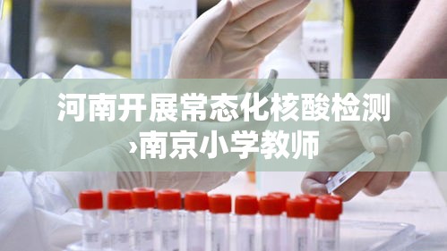 河南开展常态化核酸检测›南京小学教师