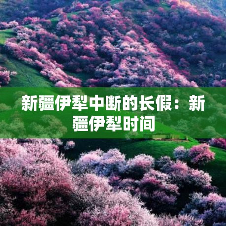 玩家攻略“斗牛房卡从哪里购买”房卡链接获取