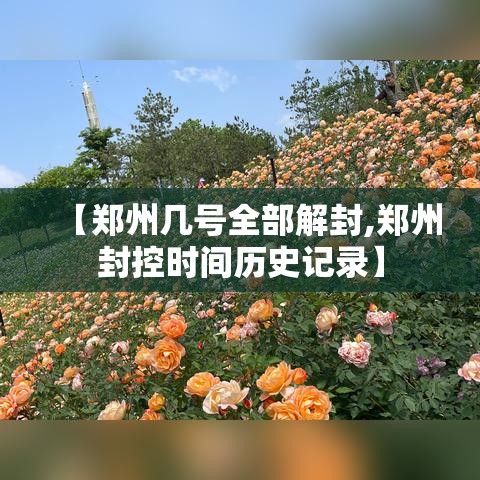 玩家必备“微信炸 金花链接怎么搞	”详细房卡使用教程-哔哩哔哩