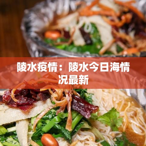 陵水疫情：陵水今日海情况最新