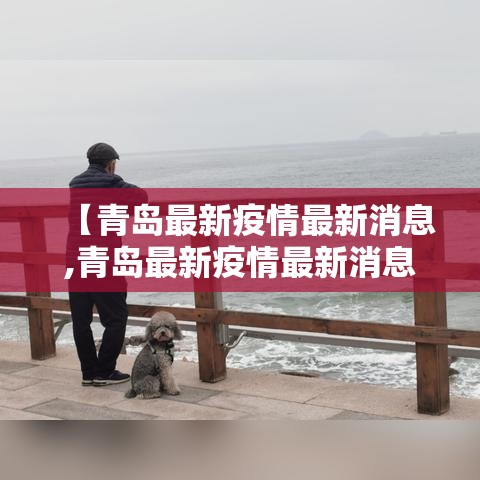 【青岛最新疫情最新消息,青岛最新疫情最新消息实时发布】 【青岛最新疫情最新消息,青岛最新疫情最新消息实时发布】