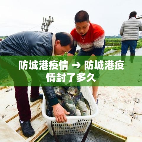 【白糖期货,白糖期货最新行情】 【白糖期货,白糖期货最新行情】