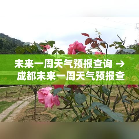 全国新型肺炎最新数据 → 全国新型肺炎最新数据报告 全国新型肺炎最新数据 → 全国新型肺炎最新数据报告