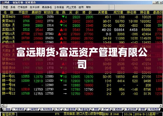 富远期货›富远资产管理有限公司
