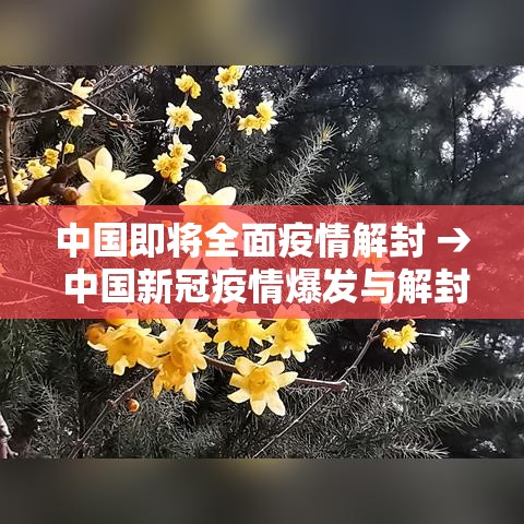 秒懂教程“怎么开炸 金花创建好友房”详细房卡教程