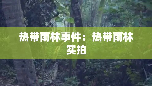 热带雨林事件：热带雨林实拍