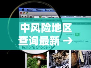 【玻璃期货·玻璃期货手续费】 【玻璃期货·玻璃期货手续费】