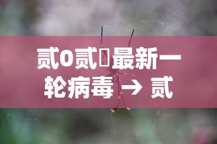 三分钟讲解“正版斗牛链接房卡充值”获取玩金花房卡链接教程