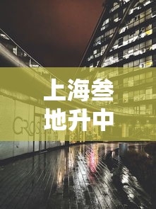 上海叁地升中风险›上海中學