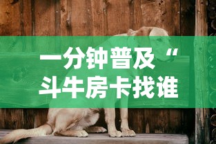 一分钟普及“斗牛房卡找谁购买”购买房卡介绍