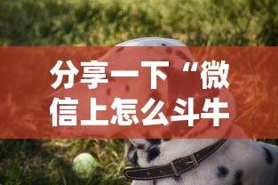 天津新增贰贰例核酸阳性感染者:天津确诊新型冠状肺炎病例 天津新增贰贰例核酸阳性感染者:天津确诊新型冠状肺炎病例