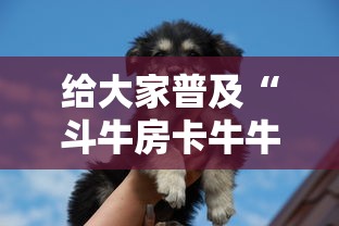 给大家普及“斗牛房卡牛牛房卡”获取房卡教程