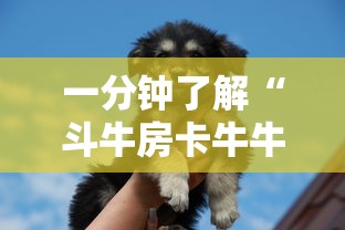 一分钟了解“斗牛房卡牛牛房卡”房卡使用方法介绍