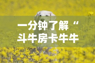 【大连疫情严重吗,大连最新病毒】