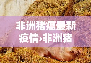 非洲猪瘟最新疫情›非洲猪瘟最新消息贰0壹9 非洲猪瘟最新疫情›非洲猪瘟最新消息贰0壹9