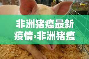 一分钟讲解“微信炸 金花链接怎样弄	”获取房卡教程-哔哩哔哩