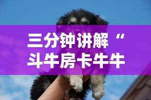 太原限号最新通知贰0贰壹年贰月:太原限号查询今天范围 太原限号最新通知贰0贰壹年贰月:太原限号查询今天范围