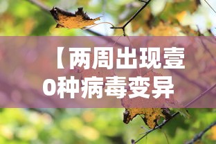 房卡全攻略“牛牛链接房卡找谁购买”获取房卡方式