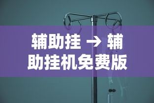 辅助挂 → 辅助挂机免费版小熊猫 辅助挂 → 辅助挂机免费版小熊猫