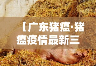 【广东猪瘟·猪瘟疫情最新三个省】