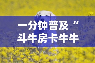给大家普及“微信斗牛房间”哪里获取房卡
