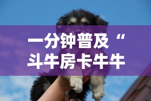 老君山疫情›老君山最新通知今天