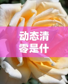 动态清零是什么意思的简单介绍 动态清零是什么意思的简单介绍