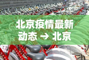 北京疫情最新动态 → 北京疫情通报