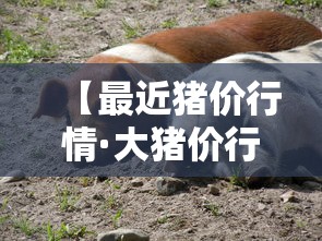 玩家必备“正规斗牛房卡哪里买	”链接房卡在哪里获取